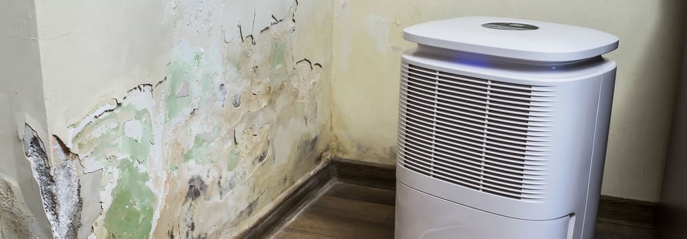 AdobeStock_259195448_1920x670