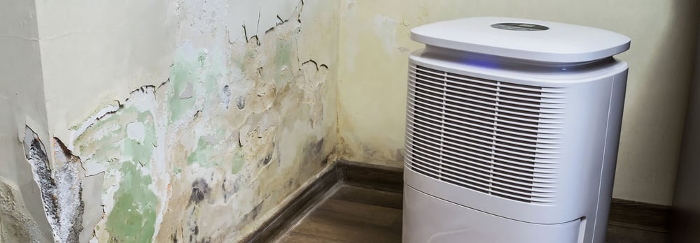 AdobeStock_259195448_1920x670
