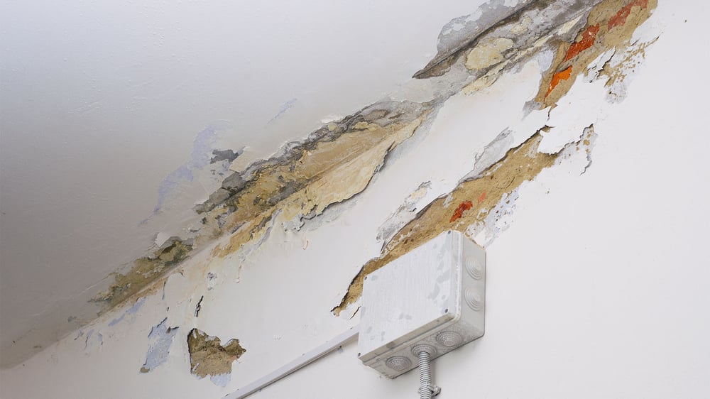 Interior water leak damage on walls and ceiling