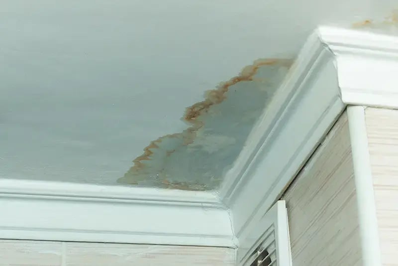 Ceiling visibly damaged by water