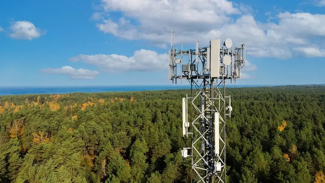 Communications tower above a forest.