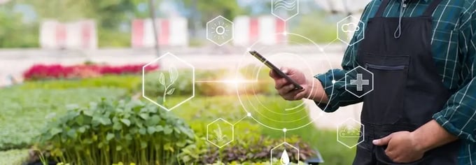 Man using a smart phone in a garden