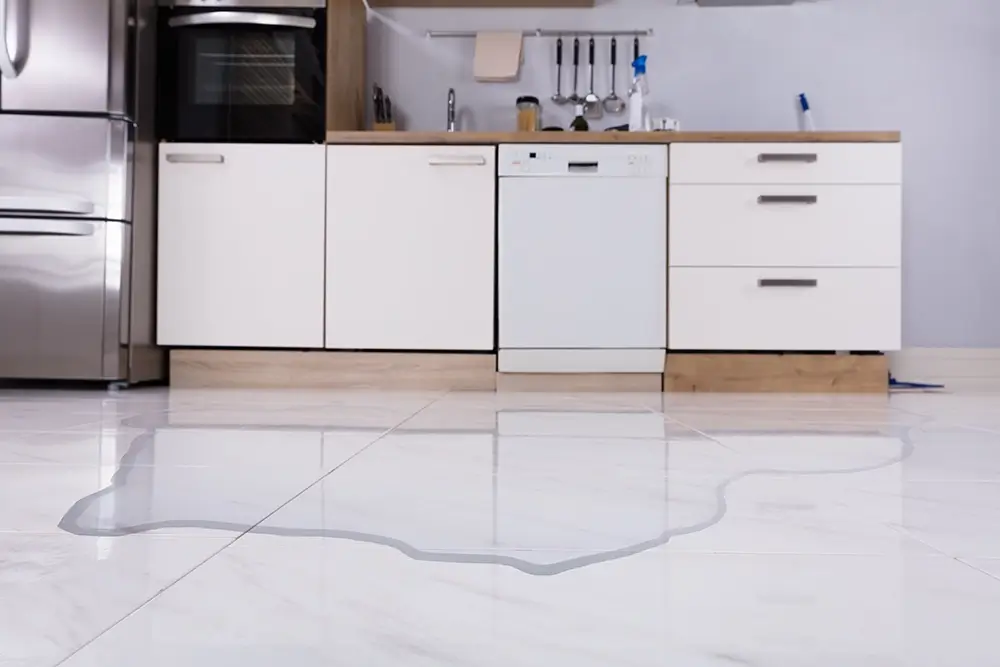 home water leak detector
